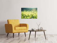 Laden Sie das Bild in den Galerie-Viewer, Leinwandbild In der Wiese