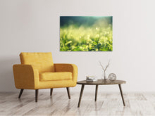 Laden Sie das Bild in den Galerie-Viewer, Leinwandbild In der Wiese