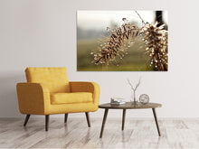 Laden Sie das Bild in den Galerie-Viewer, Leinwandbild Tropfen der Natur