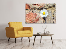 Laden Sie das Bild in den Galerie-Viewer, Leinwandbild Blume in der Wand