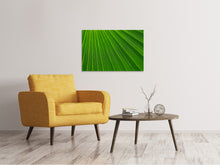 Laden Sie das Bild in den Galerie-Viewer, Leinwandbild Palm Streifen 1