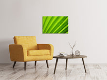 Laden Sie das Bild in den Galerie-Viewer, Leinwandbild Palm Streifen 2