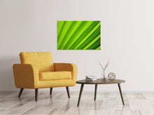 Laden Sie das Bild in den Galerie-Viewer, Leinwandbild Palm Streifen 2