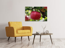 Laden Sie das Bild in den Galerie-Viewer, Leinwandbild Apfel in XXL