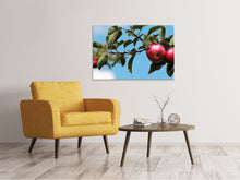 Laden Sie das Bild in den Galerie-Viewer, Leinwandbild Apfel am Baum