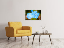Laden Sie das Bild in den Galerie-Viewer, Leinwandbild Blaue Blume mit Morgentau