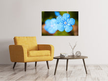 Laden Sie das Bild in den Galerie-Viewer, Leinwandbild Blaue Blume mit Morgentau