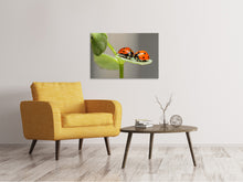 Laden Sie das Bild in den Galerie-Viewer, Leinwandbild 2 Marienkäfer