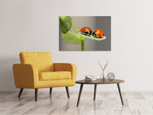 Laden Sie das Bild in den Galerie-Viewer, Leinwandbild 2 Marienkäfer