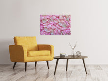 Laden Sie das Bild in den Galerie-Viewer, Leinwandbild Rosenblüten in rosa