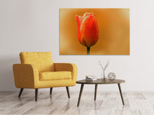 Laden Sie das Bild in den Galerie-Viewer, Leinwandbild Eine Tulpe im Morgentau