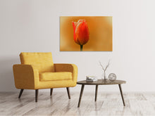 Laden Sie das Bild in den Galerie-Viewer, Leinwandbild Eine Tulpe im Morgentau