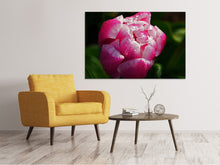 Laden Sie das Bild in den Galerie-Viewer, Leinwandbild Tulpe mit Morgentau in XL