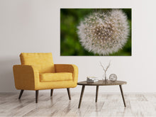 Laden Sie das Bild in den Galerie-Viewer, Leinwandbild Der Löwenzahn in der Natur