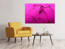 Laden Sie das Bild in den Galerie-Viewer, Leinwandbild Pusteblume in pink