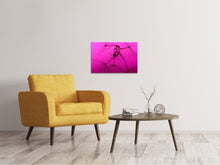 Laden Sie das Bild in den Galerie-Viewer, Leinwandbild Pusteblume in pink