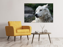 Laden Sie das Bild in den Galerie-Viewer, Leinwandbild Der einsame Wolf