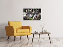 Laden Sie das Bild in den Galerie-Viewer, Leinwandbild 2 Wölfe