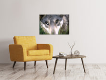 Laden Sie das Bild in den Galerie-Viewer, Leinwandbild Der Wolfs Blick