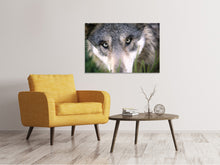 Laden Sie das Bild in den Galerie-Viewer, Leinwandbild Der Wolfs Blick