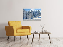 Laden Sie das Bild in den Galerie-Viewer, Leinwandbild Schöne Winterlandschaft