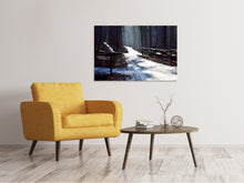 Laden Sie das Bild in den Galerie-Viewer, Leinwandbild Ein Weg im Schnee