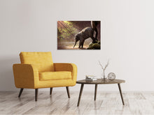Laden Sie das Bild in den Galerie-Viewer, Leinwandbild Das Elefantenbaby
