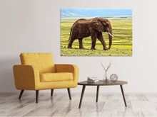 Laden Sie das Bild in den Galerie-Viewer, Leinwandbild Prächtiger Elefant