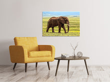 Laden Sie das Bild in den Galerie-Viewer, Leinwandbild Prächtiger Elefant