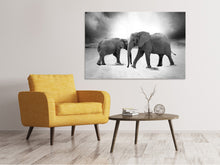 Laden Sie das Bild in den Galerie-Viewer, Leinwandbild 2 Elefanten sw