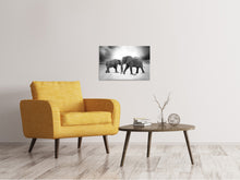 Laden Sie das Bild in den Galerie-Viewer, Leinwandbild 2 Elefanten sw