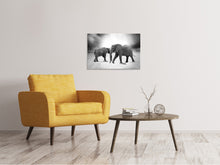 Laden Sie das Bild in den Galerie-Viewer, Leinwandbild 2 Elefanten sw