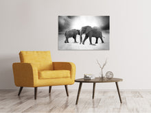 Laden Sie das Bild in den Galerie-Viewer, Leinwandbild 2 Elefanten sw