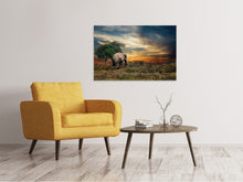 Laden Sie das Bild in den Galerie-Viewer, Leinwandbild Der Elefant im Sonnenuntergang