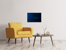 Laden Sie das Bild in den Galerie-Viewer, Leinwandbild Gefährlicher Hai