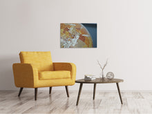 Laden Sie das Bild in den Galerie-Viewer, Leinwandbild Close up Globus