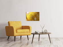 Laden Sie das Bild in den Galerie-Viewer, Leinwandbild Globus XXL