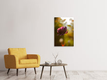 Laden Sie das Bild in den Galerie-Viewer, Leinwandbild Dunkle Tulpen Schönheit