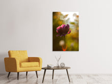 Laden Sie das Bild in den Galerie-Viewer, Leinwandbild Dunkle Tulpen Schönheit