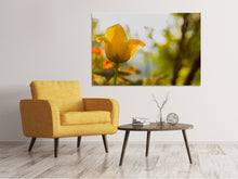 Laden Sie das Bild in den Galerie-Viewer, Leinwandbild Gelbe Tulpe in der Natur