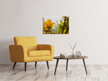 Laden Sie das Bild in den Galerie-Viewer, Leinwandbild Gelbe Tulpe in der Natur