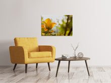 Laden Sie das Bild in den Galerie-Viewer, Leinwandbild Gelbe Tulpe in der Natur