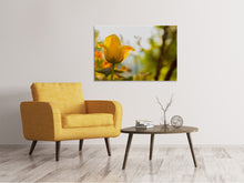 Laden Sie das Bild in den Galerie-Viewer, Leinwandbild Gelbe Tulpe in der Natur