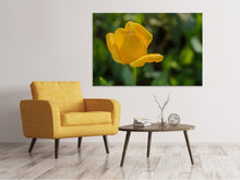 Laden Sie das Bild in den Galerie-Viewer, Leinwandbild Gelbe Tulpe XL