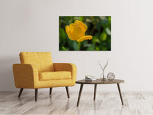 Laden Sie das Bild in den Galerie-Viewer, Leinwandbild Gelbe Tulpe XL