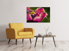 Laden Sie das Bild in den Galerie-Viewer, Leinwandbild Makro Tulpe in rot
