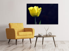 Laden Sie das Bild in den Galerie-Viewer, Leinwandbild Leuchtende Tulpe