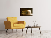 Laden Sie das Bild in den Galerie-Viewer, Leinwandbild Natur Dusche