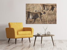Laden Sie das Bild in den Galerie-Viewer, Leinwandbild 2 Leoparden