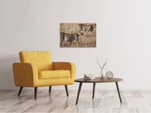 Laden Sie das Bild in den Galerie-Viewer, Leinwandbild 2 Leoparden